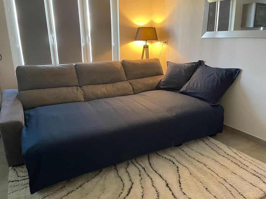 Appartement T3 En Centre-Ville De Thonon-Les-Bains Ngoại thất bức ảnh